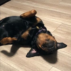 Meet your Posher, Liz